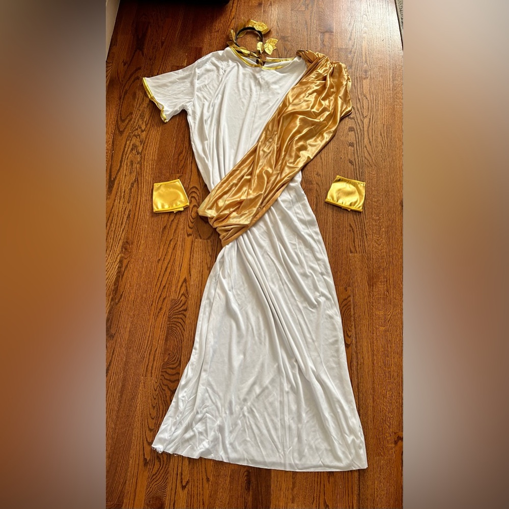 Men’s Caesar Costume - image 3